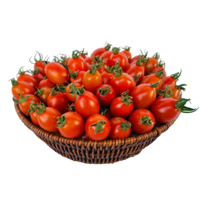 トマト様 ❻専用 Tomato (Small)-Products-Known-You Seed India